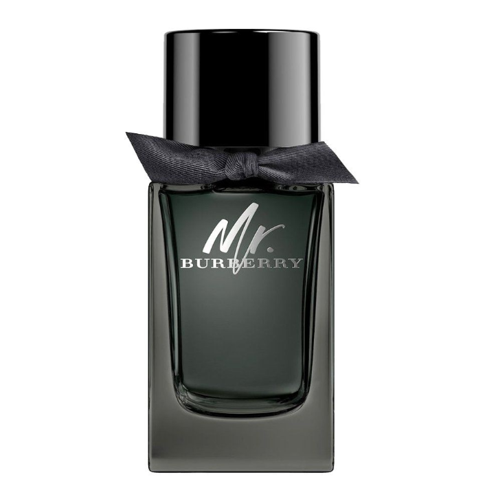 Mr. Burberry Eau de Parfum 100 mL
